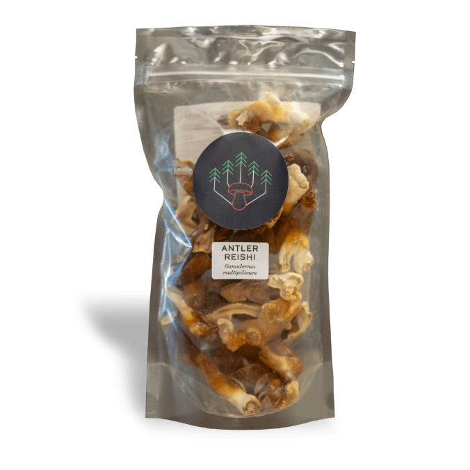 40g Dried Antler Reishi Mushrooms image 0