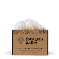 Lion's Mane image 0