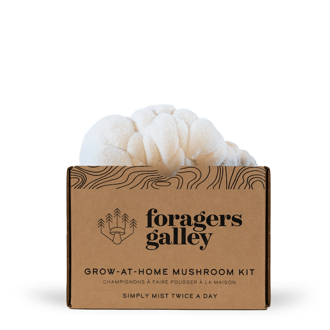 Lion's Mane Grow Kit