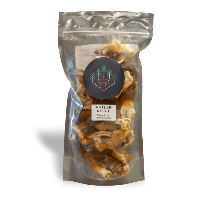 Dried Antler Reishi Mushrooms 