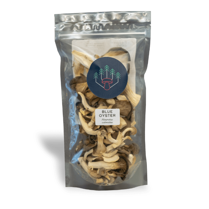 Dried Oyster Mushrooms | Foragers Galley